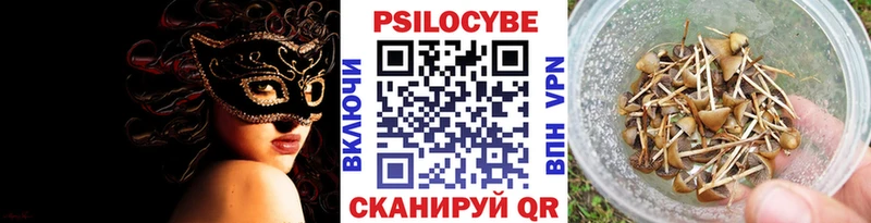 Псилоцибиновые грибы Magic Shrooms  KRAKEN как войти  Пересвет 